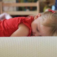 Load image into Gallery viewer, Bamboo Bed Bumper and Travel / Storage Bag